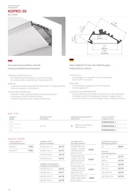 Kopro Mikoyan Mig-31 Foxhound Model Aircraft Kit