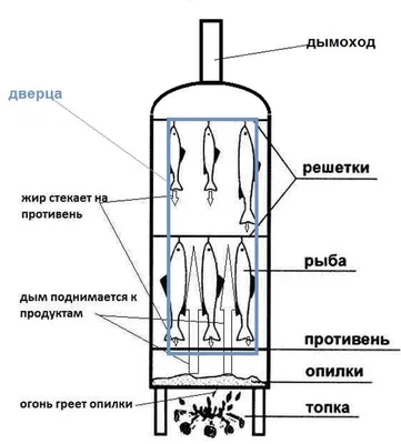 Коптильня из газового баллона: подробные схемы и чертежи для изготовления своими  руками. Поэтапная инструкция работы в домашних условиях (160 фото)