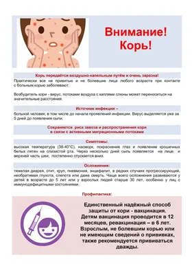 5 вопросов о кори