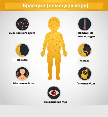 Краснуха - причины появления, симптомы заболевания, диагностика и способы  лечения