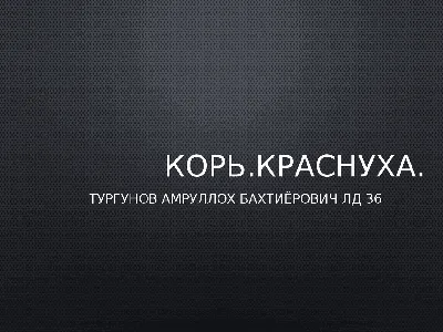 Об иммунизации против кори, краснухи, эпидемического паротита | Управления  Роспотребнадзора по Курской области