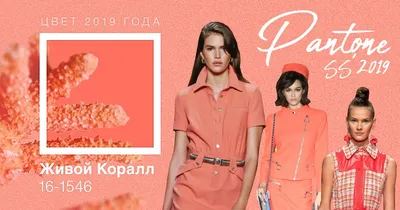 Colorama CO146 Coral Pink фон бумажный 2,72х11 м цвет коралловый – купить в  Москве по цене 12990 руб. Фотофоны из бумаги в интернет-магазине Фотогора