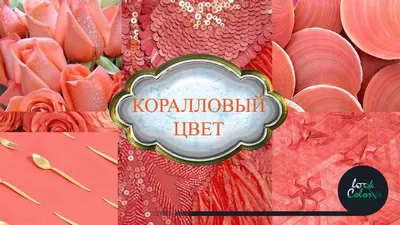 Коралловый градиент фона Обои Изображение для бесплатной загрузки - Pngtree  | Геометрические фигуры, Коралловый цвет, Абстрактное