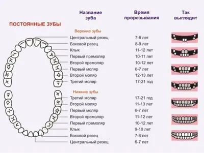 У ребенка шатается коренной зуб — что делать