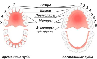 Коренной зуб» — создано в Шедевруме