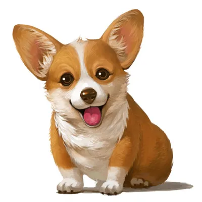 Corgi pembroke | Вельш-корги, Вельш-корги пемброк, Корги