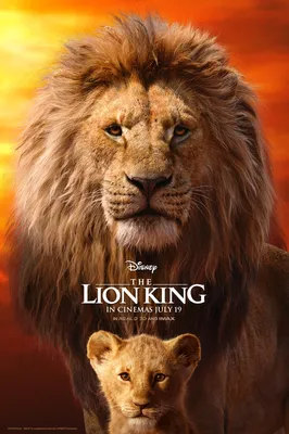 Фильм «Король Лев» / The Lion King (2019) — трейлеры, дата выхода |  КГ-Портал