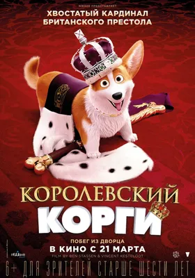 В кафе с собакой? 🐶 Что взять с... - Королевские корги | Facebook