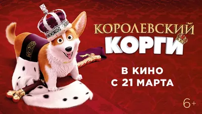 Королевский корги»: странный и двусмысленный мультфильм о собачьем  бойцовском клубе и Трампе