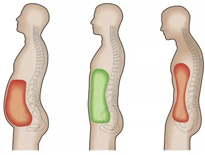 Стрессовый жир или кортизоловый живот | Диетолог Романова Алёна | Дзен