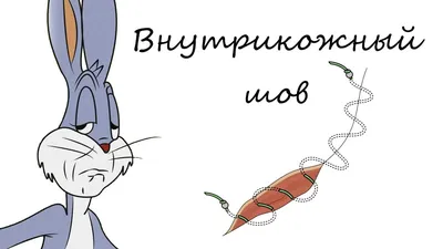 Ветеринар-хирург, операции для животных в Туле. Кастрация котов, кобелей.  Стерилизация кошек, собак. | Ветеринарный центр доктора Мельниковой