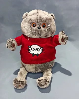 Мягкая игрушка Котик Басик Baby с ежиком, 20 см (id 101714872)