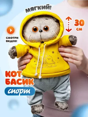 Мягкая игрушка Котик Басик Baby принц, 20 см (id 110956142)