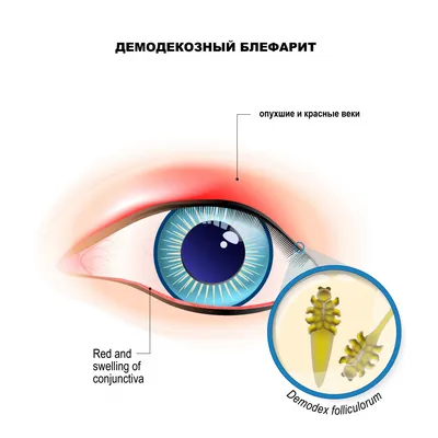 Кожа и кожные заболевания - Doc online