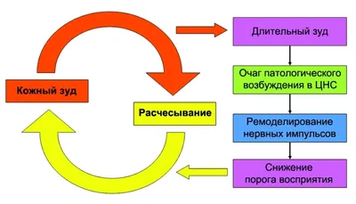 Фенистил Fenistil Гель от зуда и раздражения кожи , гель 0,1% , 30г с  бесплатной доставкой на дом из «ВкусВилл» | Белгород