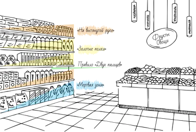 Мерчандайзинг | Основы мерчандайзинга в магазине, правила выкладки