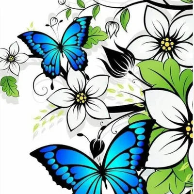 Красивые Бабочки - Butterfly Vector - Free Transparent PNG Clipart Images  Download