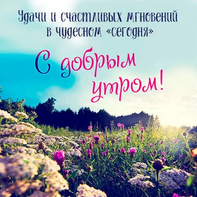 Доброе утро! 🌸 \"Доброе утро\" - щебечет природа... 🌸 Доброго утра желаю  тебе!🌸 Good morning! - YouTube