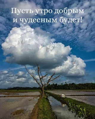 Горящие туры - Пусть самые красивые, счастливые, мирные, наполненные  любовью дни будут вашими!💛 Доброе утро!😊 #goriachietur #киев #туризм  #travel #отдых #отпуск #пейзаж #хочунаморе #купитьтур #путешествуйтеснами # утро ⠀ https://ht.kiev.ua | Facebook