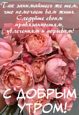 Создать мем \"доброго утра, красивые цветы, доброе утро красивые цветы\" -  Картинки - Meme-arsenal.com