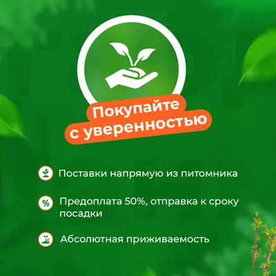 Product Day: Идем в гости с Greenway Global :: Новости :: Greenway BY