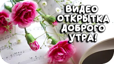 САМАЯ КРАСИВАЯ ОТКРЫТКА С ДОБРЫМ УТРОМ ДЛЯ ДРУЗЕЙ 2020! Пожелание доброг...  | Открытки, Фиолетовые розы, Картинки