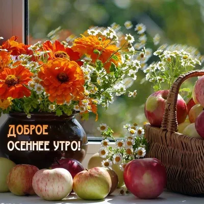 зонтики | Доброе утро, Позитив, Осень