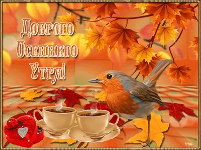 🍁 ⛅ ☕ Картинки С добрым осенним утром - скачать (240 шт.)