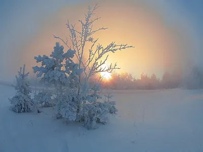 Скачать обои зима, любовь, звезда, руки, love, star, winter, варежки,  раздел настроения в разрешении 4120x2472