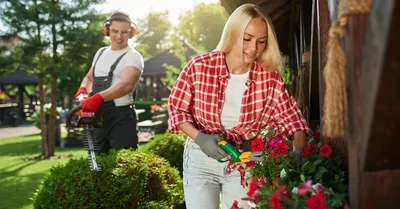 Красивый сад из подстриженных …» — создано в Шедевруме