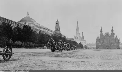 Москва | Фотографии | №560 (Красная площадь)