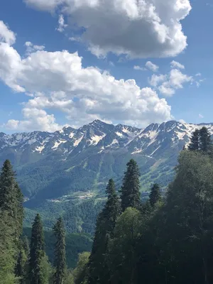 Фотопрогулка в Красной поляне 🧭 цена экскурсии 7500 руб., 6 отзывов,  расписание экскурсий в Сочи