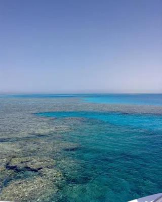 Какое море в Египте ⛱️ в Шарм-эль-Шейхе, Хургаде, Александрии