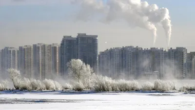 Красноярский Академгородок предлагают тотально застроить