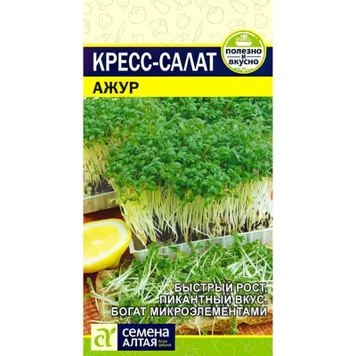 Семена Кресс-салат, Весенний, цветная упаковка, Седек в Белгороде: цены,  фото, отзывы - купить в интернет-магазине Порядок.ру