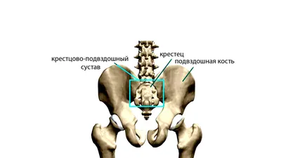 Травма копчика: первая помощь и транспортировка | ТехМедСервис