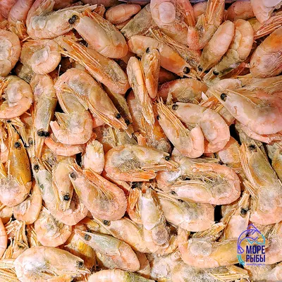 Свежемороженые креветки из Аргентины