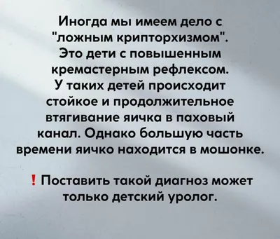 Крипторхизм у котов – что это, причины и лечение, кастрация крипторхов