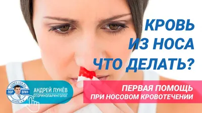 кровь из носа (krov' iz nosa) – A-Z Lyrics | Genius Lyrics