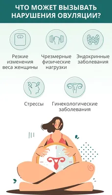 Овуляция: симптомы, причины вздутия живота, когда наступает » EVA Blog