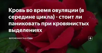 Почему идет крови между месячными: что нужно знать про овуляторные  кровотечения | theGirl