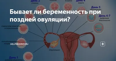 Лечение коричневых выделений из влагалища, диагностика в клинике \"Азбука  Здоровья\" в Химках