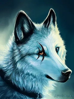 Картинки по запросу крутые волки фото | Wolf painting, Wolf spirit animal,  Wolf drawing