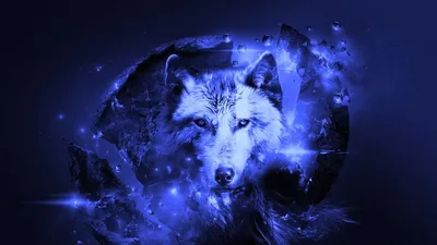 Хипстерский волк крутой скетч Векторное изображение ©jemastock 263929910