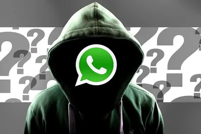 Разработчики WhatsApp анонсировали запуск каналов для пользователей  мессенджера