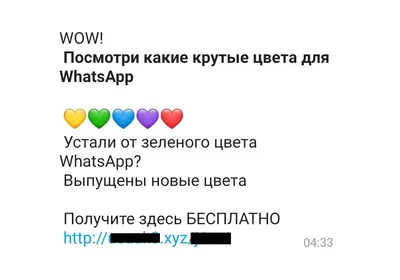 7 фишек WhatsApp: полезные и новые возможности | РБК Life