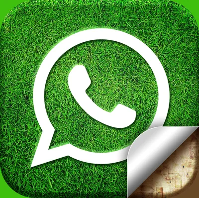 Посмотри какие крутые цвета для WhatsApp. Вам уже присылали такое  сообщение?Знаете почему не стоит переходить по этой ссылке? | Антиплут |  Дзен