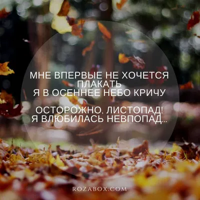 ЛУЧШИЕ СТАТУСЫ - ЛУЧШИЕ СТАТУСЫ added a new photo.