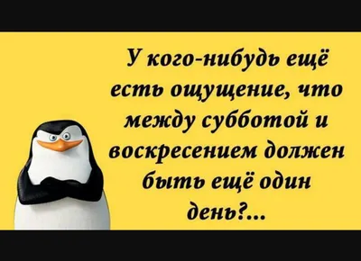 Прикольные статусы на все случаи жизни для социальных сетей: 50+ вариантов