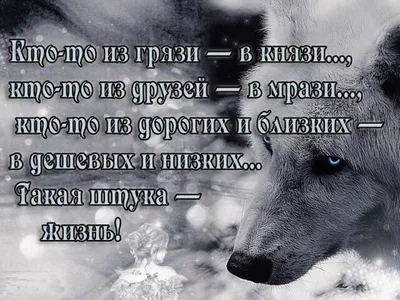 В этом месяце,закрылись нереально крутые Статусы.💃💃💃 Поздравляю моя  золотая тебя🔥 С Золотым Директором @nusupova_z умничка молодец… | Instagram